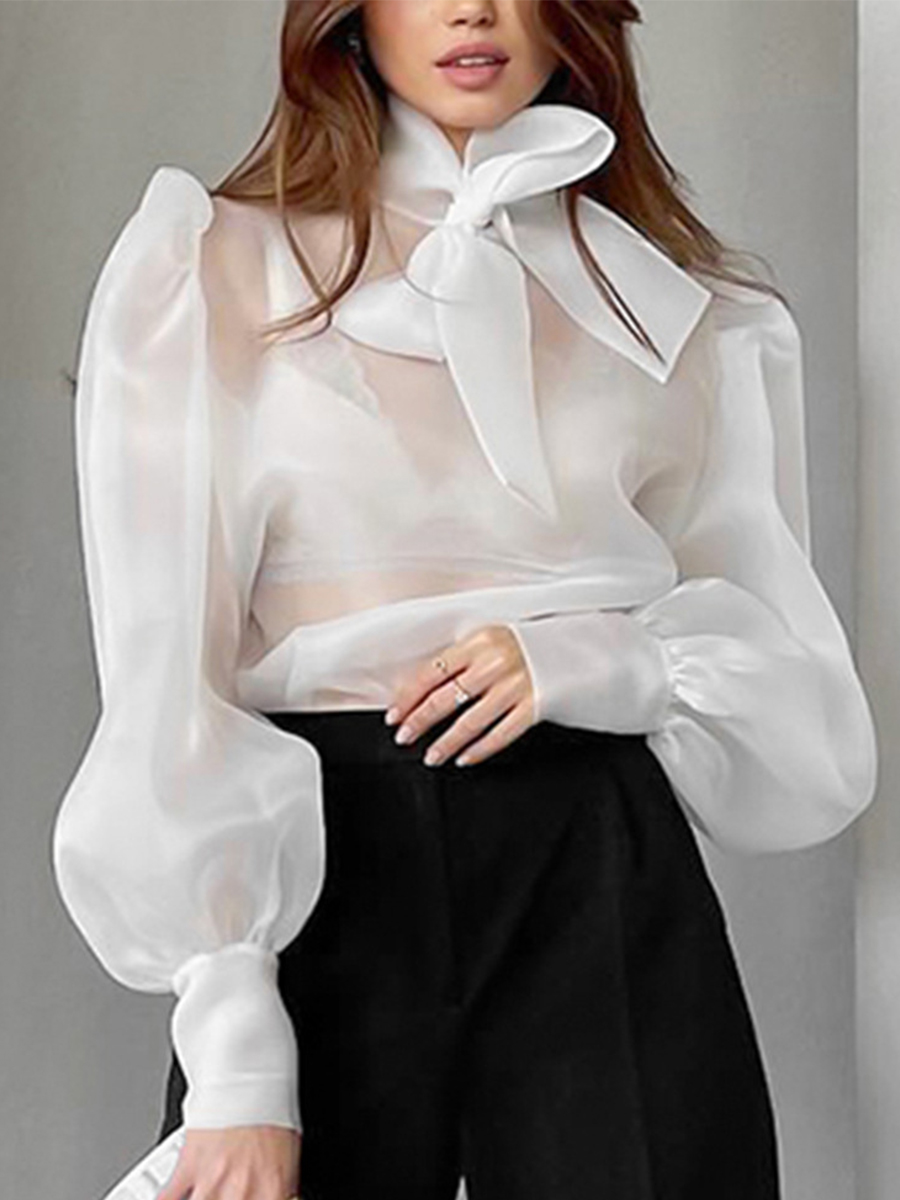 Neue elegante transparente Mes – Mesh Top Layering Bewertung und Preis